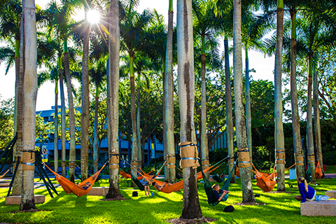 Students in Hammocks during finals week on University campus